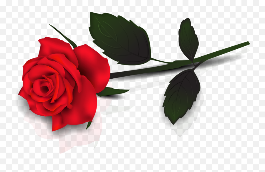 Free Rose With Transparent Background - Transparent Rose Flower Png Emoji,Rose Emoji Art