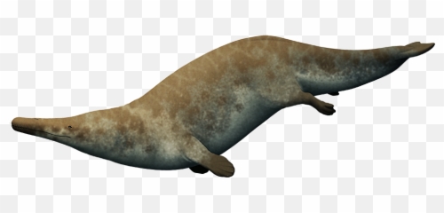 Fantast - Aegicetus Emoji,Whale Emoji Pillow