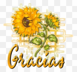 Pin En Gracias - Gif De Gracias Con Girasoles Emoji,Te Amocon Emojis