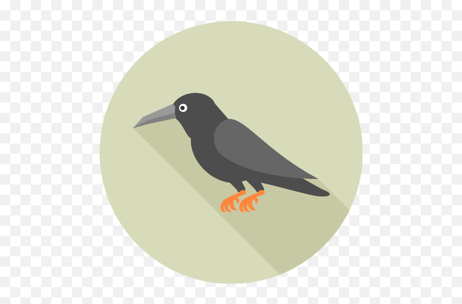 Grave Raven Vector Svg Icon - Png Repo Free Png Icons Hummingbird Emoji,Cr Ow Emoticon