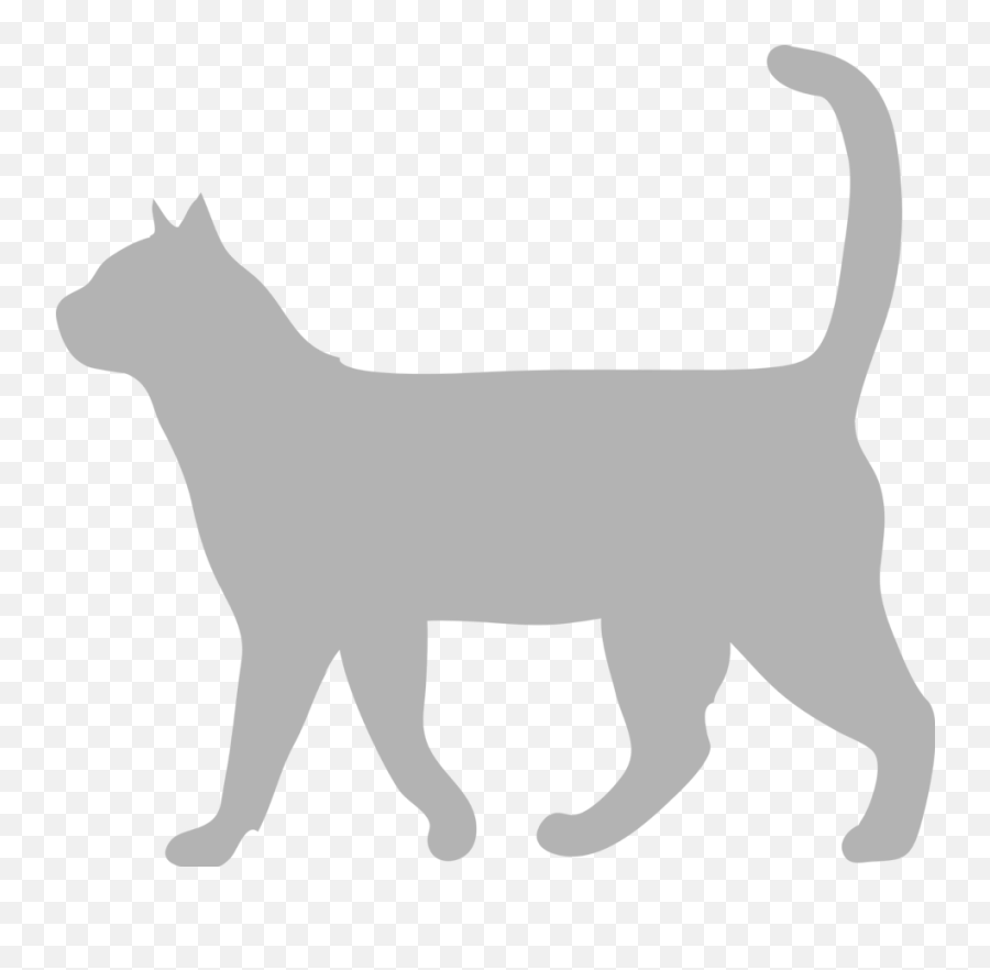 Author The Good Vet And Pet Guide - Walking Cat Silhouette Png Emoji,Dog Emotion Committed To Human Pg