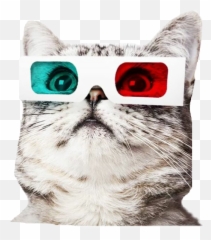 All You Need To Celebrate International Cat Day Is Picsart - Domestic Cat Emoji,Puppy Emoji Pillow