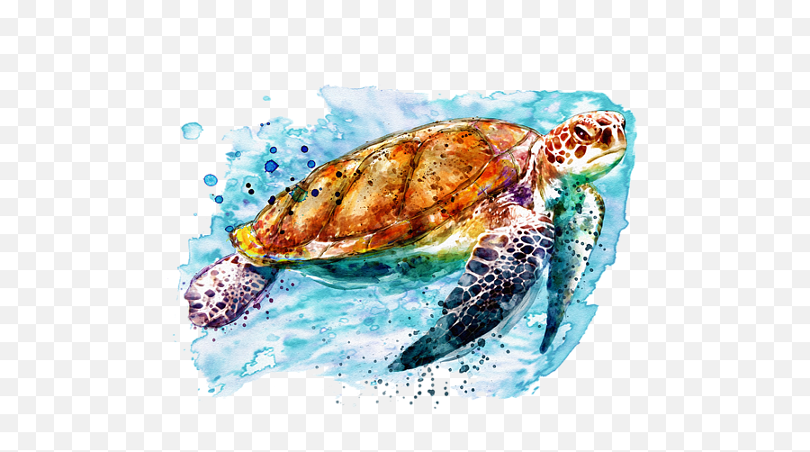 Turtle Seaturtle Tortuga Sticker By David Belmonte - Marian Voicu Artist Sea Turtles Emoji,Turtle Shell Emoji