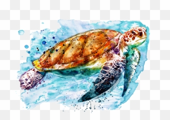 Turtle Seaturtle Tortuga Sticker By David Belmonte - Marian Voicu Artist Sea Turtles Emoji,Turtle Shell Emoji