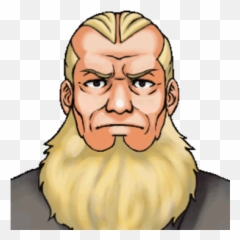 Judge Younger Brother Ace Attorney Wiki Fandom - Ace Attorney Judge Brother Emoji,Dahlia Ace Summer Emotions