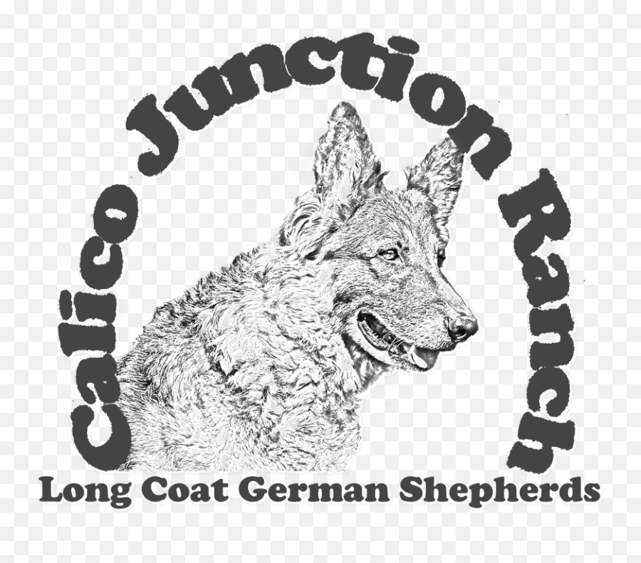 Calico Junction Ranch Long Coat German Emoji,How To Tell German Shepherds Emotions By Their Ears