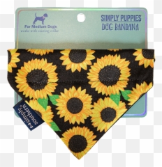 Simply Southern Dog Bandana Bee - Kerchief Emoji,Dog With Glasses Emojis