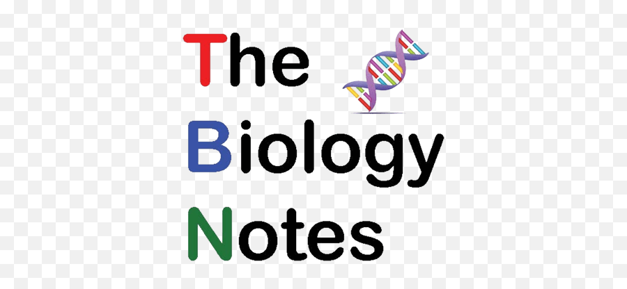 Feeding Mechanism In Paramecium The Biology Notes - Biology Notes Emoji,Paramecium Eaten Emotion