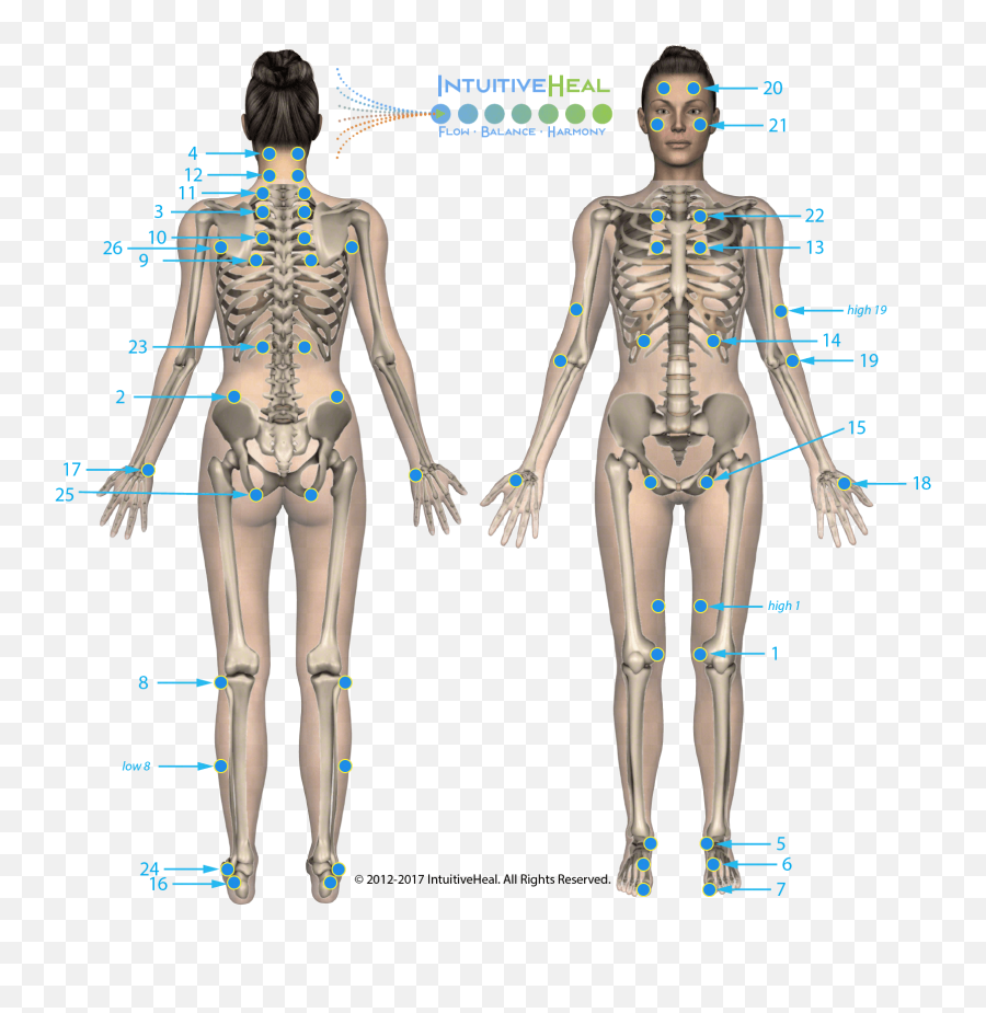 Intuitiveheal Learning Resources - Jin Shin Jyutsu 26 Safety Energy Locks Emoji,Chart Of Organs And Emotions