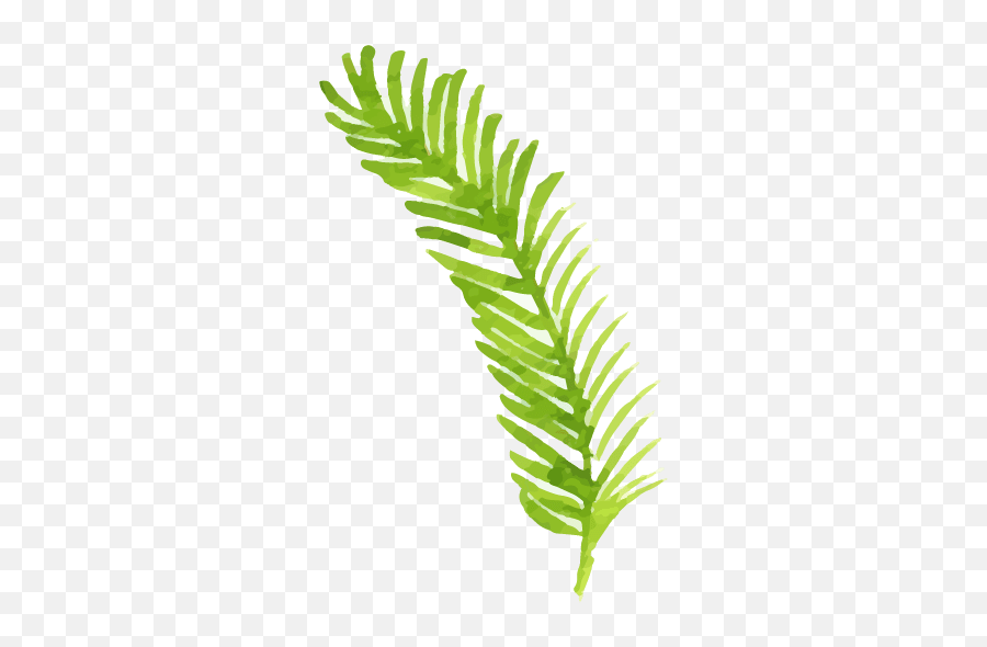 Christmas - 16 The Tink Shop Horizontal Emoji,Fern Emoji