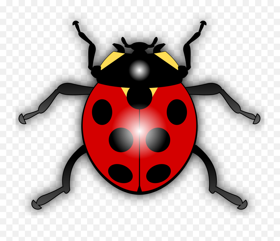 Ladybird Drawing Clip Art - Clipart Picture Of An Insect Emoji,Zzz Ant Ladybug Ant Emoji