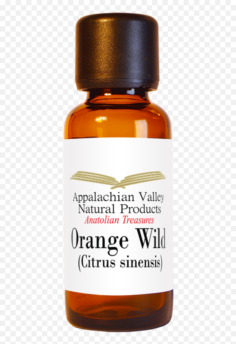 Orange Wild - Syrup Emoji,Essential Oils And Emotions Orange