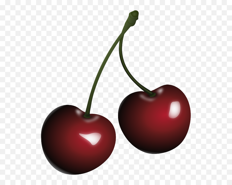 Kids Name 5 Things - Baamboozle Black Cherry Clipart Emoji,Cherry Emoji Twitter