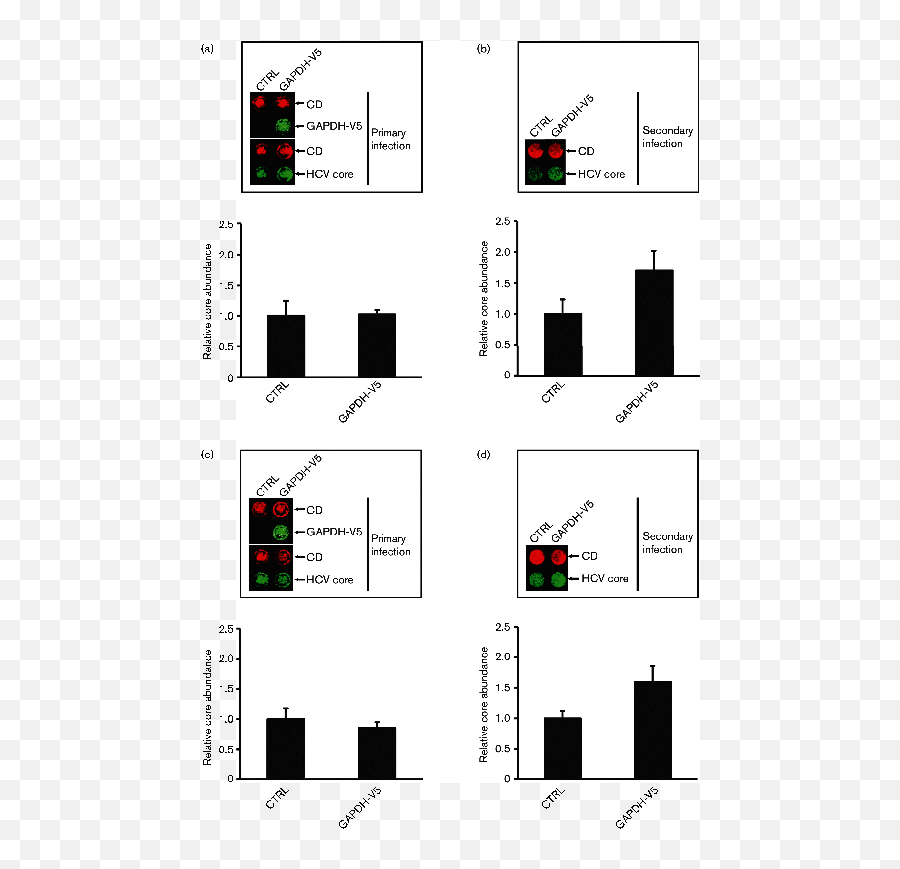 Moonlighting Glycolytic Enzyme - Vertical Emoji,Emoticons Moi Cho Paltalk