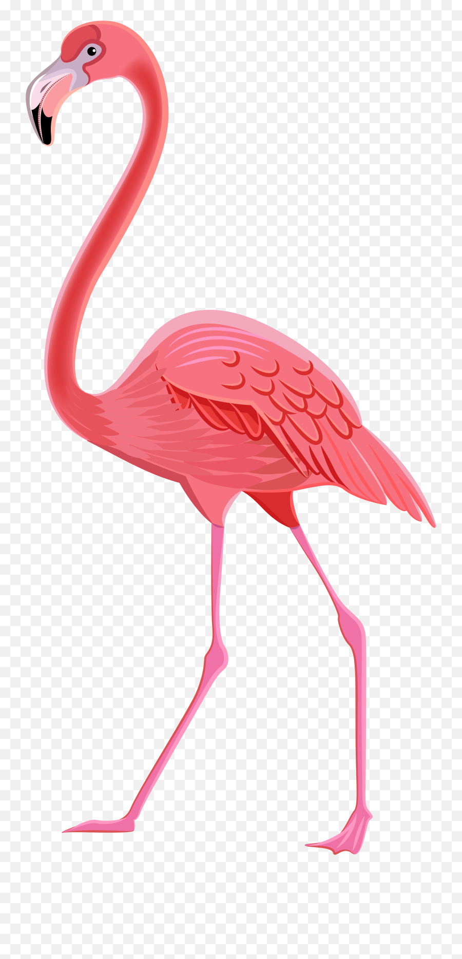 Pink Flamingo Clipart Clipartme Clipartandscrap - Clipartbarn Transparent Flamingo Png Emoji,Flamongo Emoji