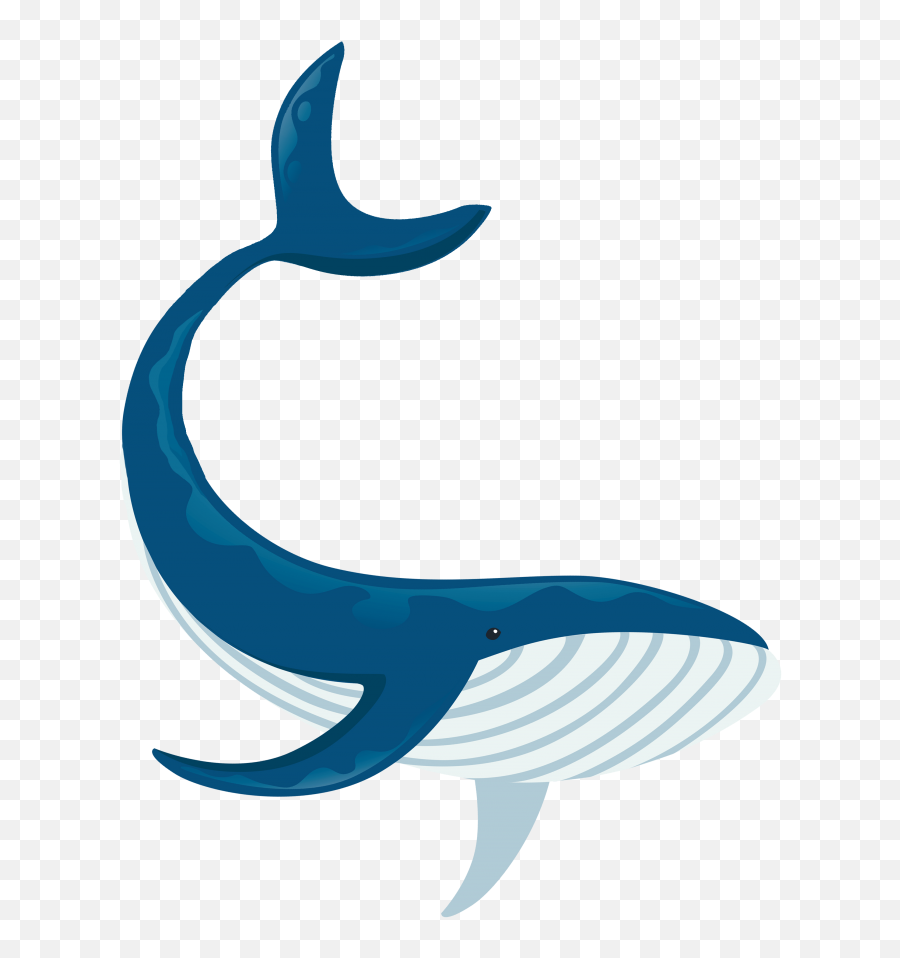Whale Watching Tours In Sri Lanka Emoji,Different Whale Emojis
