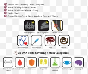 About Us - Doodledogs Australian Cobberdog Labradoodle Technology Applications Emoji,X Ray Emoji