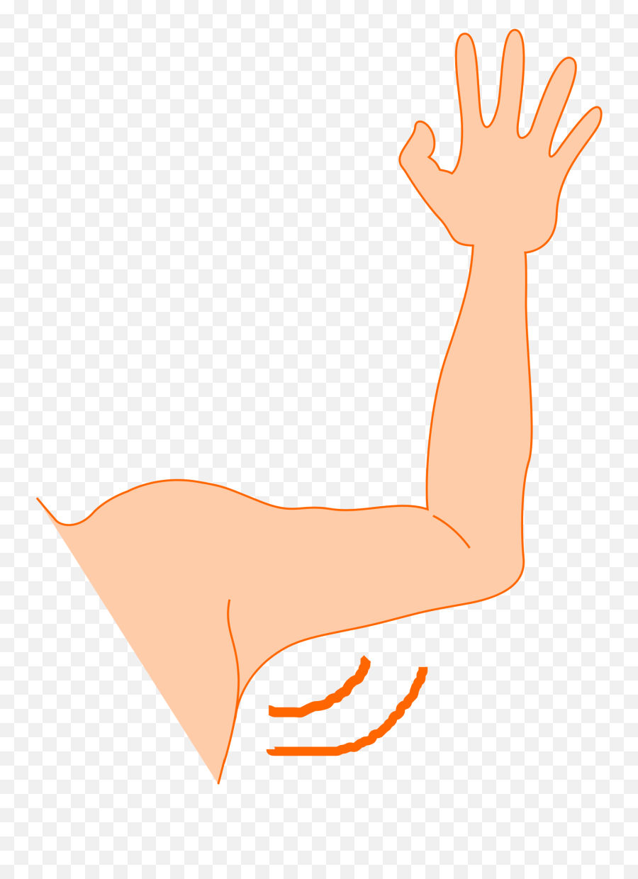 Free Arm Clip Art Download Free Arm Clip Art Png Images - Armpit Clipart Emoji,Text Emoticon Waving Arms