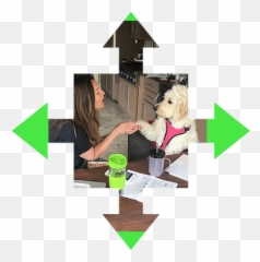 Pilates Northbrook Emoji,Emotion Restored Hypothyroidism