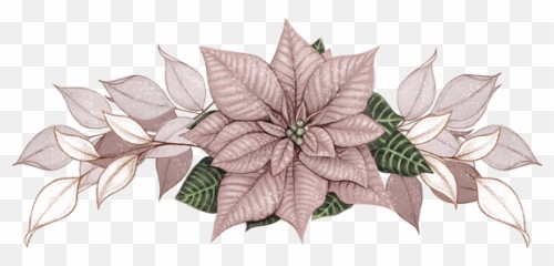 Angychan0982 U2013 Canva Emoji,Pointsettia Emoji