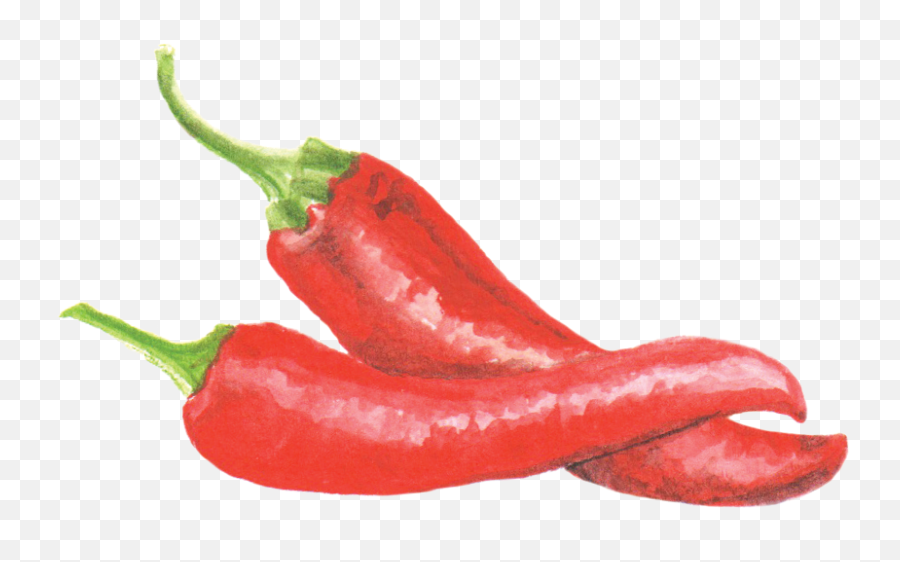 Cayenne Pepper - Chili Pepper Watercolor Png Emoji,Chili Pepper Emoji