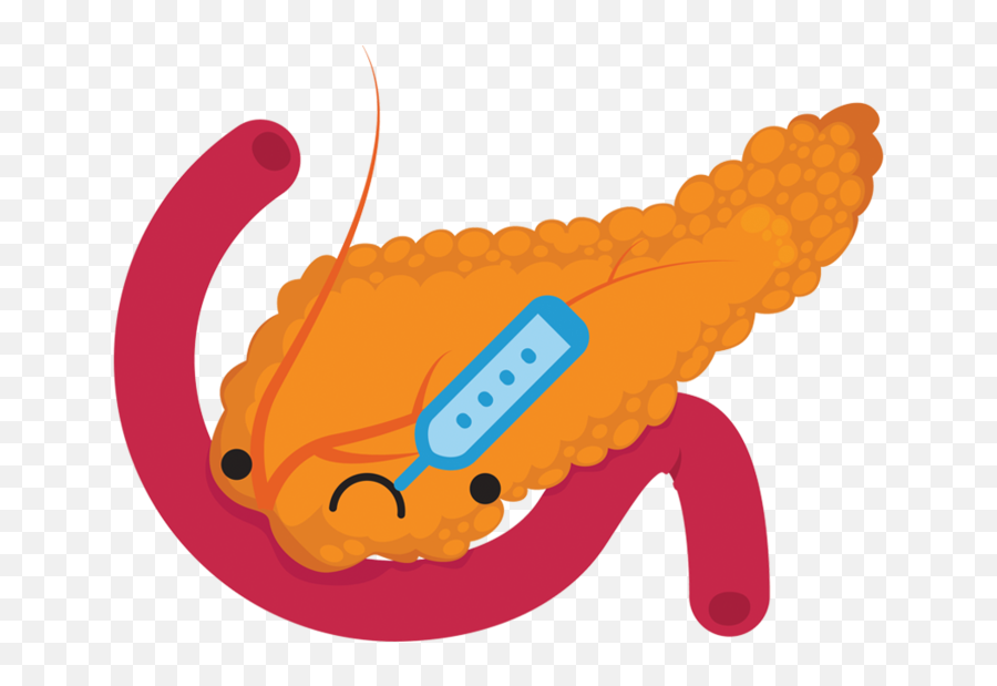 Pancreas Png - Pancreas Sick Pancreas Clipart 144662 Pancreas Clipart Emoji,Sick Emoji Clipart