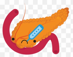 Pancreas Png - Pancreas Sick Pancreas Clipart 144662 Pancreas Clipart Emoji,Sick Emoji Clipart