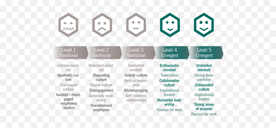 Mentoring U2013 Irish Tech News - Five Levels Of Employee Performance Emoji,Vodafone Anti Bullying Emoji