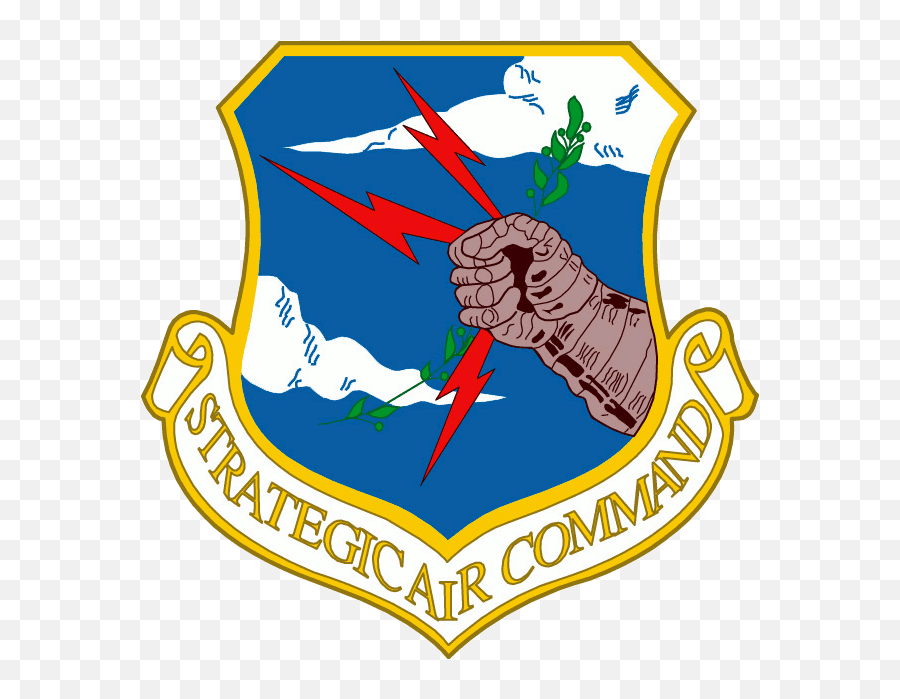 456th Fighter Interceptor Squadron Strategic Air Command Emoji,Airsoft Emoji B Patch