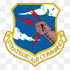 456th Fighter Interceptor Squadron Strategic Air Command Emoji,Airsoft Emoji B Patch