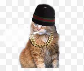 The Most Edited Ganster Picsart - Cat Collar Emoji,Ganster Emojis
