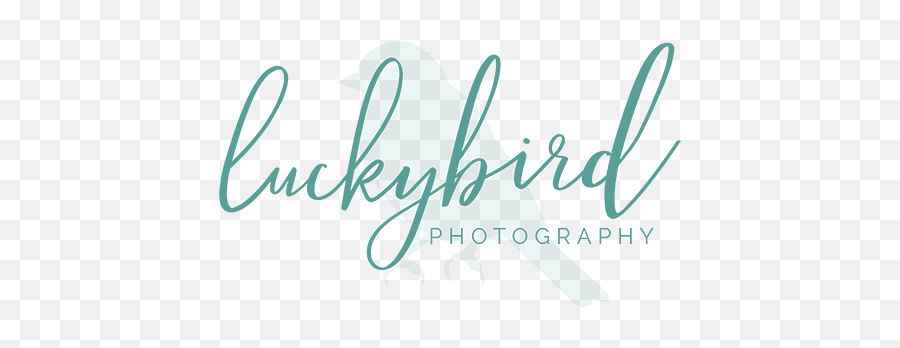 Toledo Wedding Photographer Luckybird Photography - Ali Photography Emoji,Photographs Showing Human Emotion By Photographers