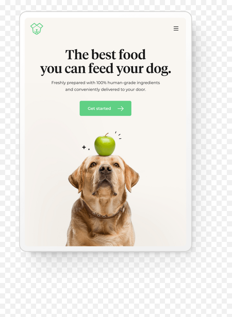 14islands - Dog Supply Emoji,Bbc Dogs Emotions