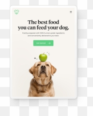 14islands - Dog Supply Emoji,Bbc Dogs Emotions