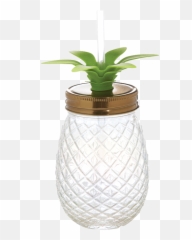 Slant Pineapple Sipper - Cylinder Emoji,Pineapple Emotions
