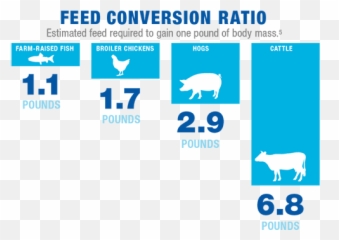 Pol - Politically Incorrect Thread 200421339 Feed Conversion Ratio Emoji,Emoji Gernade