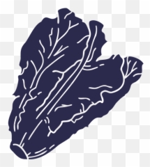 Lettuce Vector Templates - Superfood Emoji,Head Of Lettuce Emoji