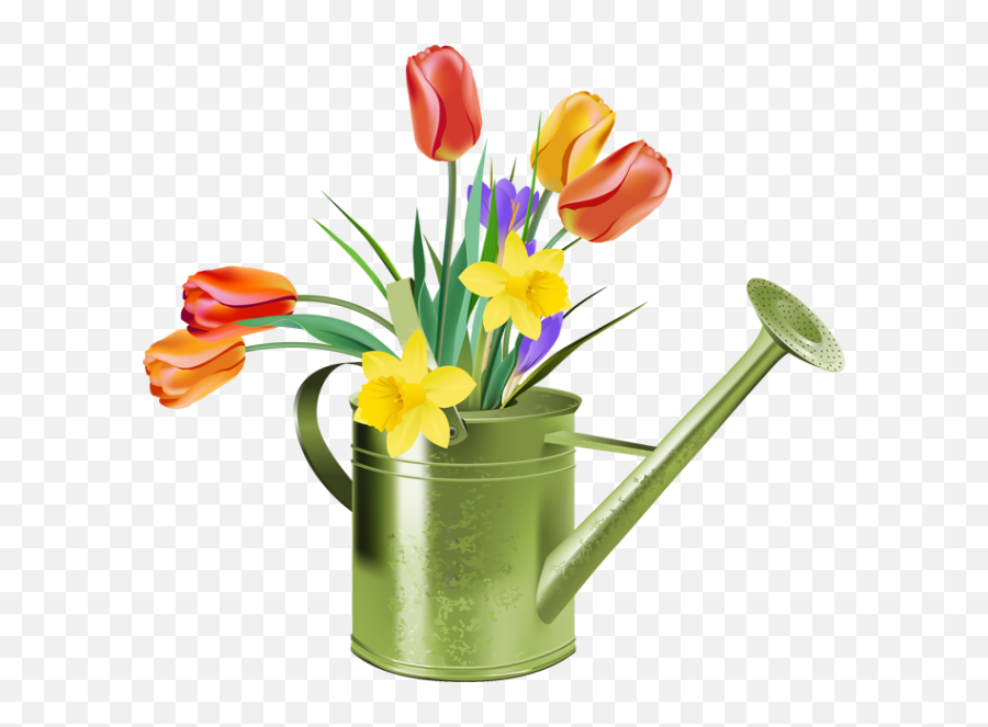 Plant Clipart Watering Can Plant Watering Can Transparent - Tulip Spring Flowers Clip Art Emoji,Watering Can Emoji