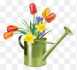 Plant Clipart Watering Can Plant Watering Can Transparent - Tulip Spring Flowers Clip Art Emoji,Watering Can Emoji