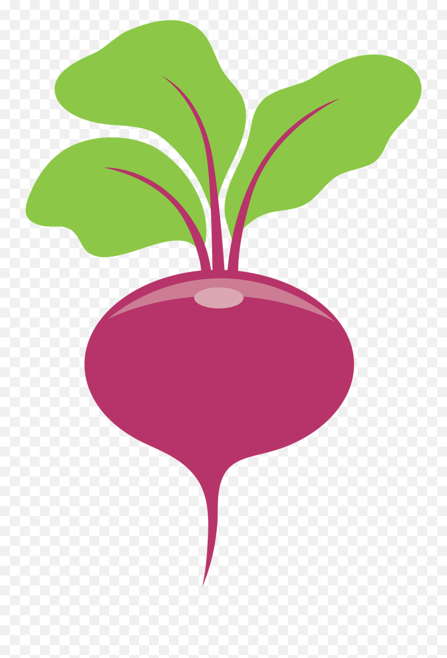 Beetroot Clipart Free Download Transparent Png Creazilla Emoji,Daikon Emoji