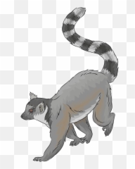 Ring - Ring Tailed Lemur Clipart Emoji,Lemur Emoji