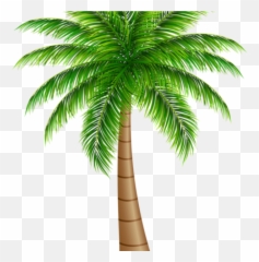 Palm Clipart Wallpaper Palm Wallpaper Transparent Free For - Clip Art Coconut Tree Png Emoji,Palm Tree Emoji
