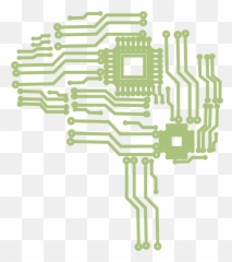 Neuroscience - Computational And Systems Neuroscience Emoji,Neuroscience Of Emotion Lecture