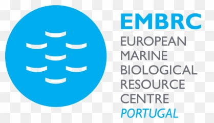 Blue Science Technology Summer - Embrc Emoji,Patrick Starfish Emoticon