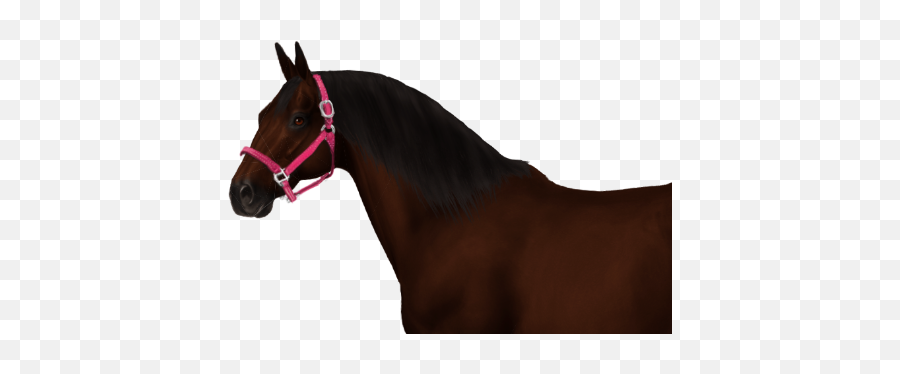 Virgo Horse - Halter Emoji,Horse Emotions Chart