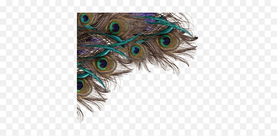 Peacock Feather Deco Tube Overlay Fond - Peacock Feather Background Png Emoji,Peacock Feather Ascii Emoticon