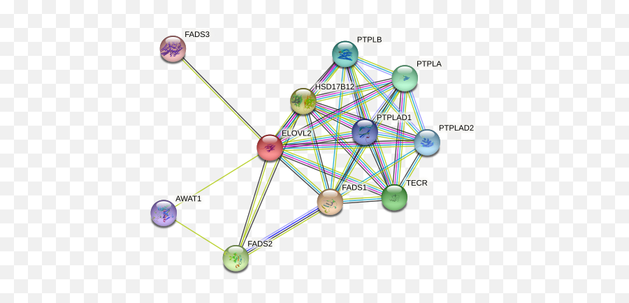 Elovl2 Protein Human - String Interaction Network Emoji,Saturated With Emotion