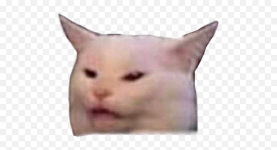 Collection Of Reaction Images And Memes I Cut To Make Emoji,Dinner Emoji Copy And Paste