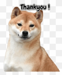 Little Musketeers Shiba Inu Emoji,Shiba Inu Emoji Png