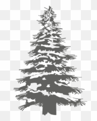 Transparent Png Svg Vector File - Boreal Conifer Emoji,Pine Tree Emoji